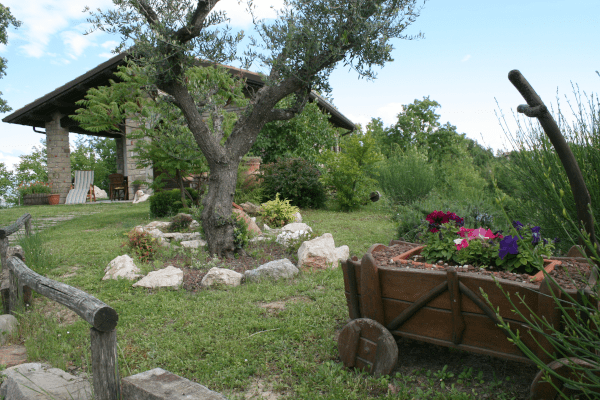 Azienda Agricola Il fiore della vita